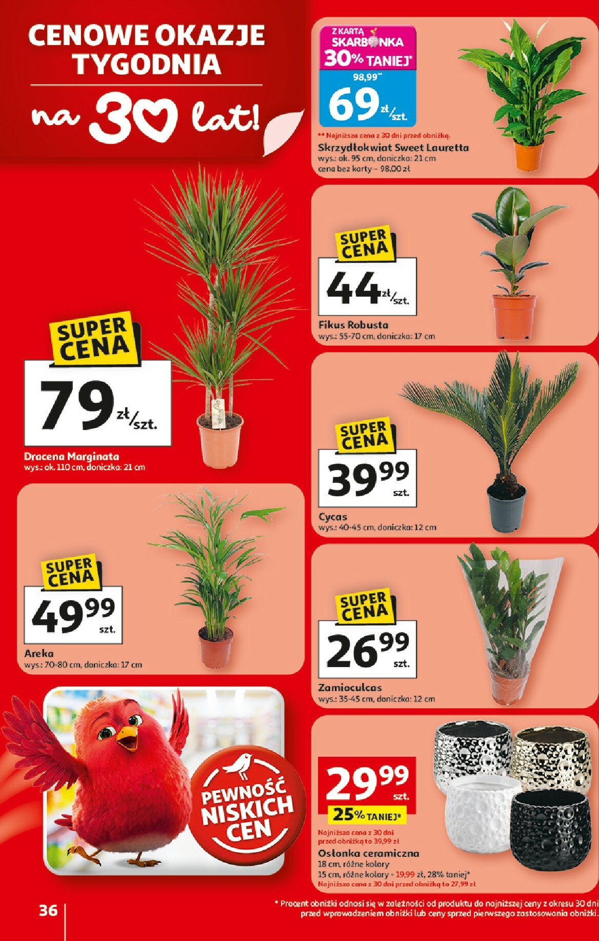 auchan - Gazetka Hipermarket Auchan - ważna od 19.02.2026 do 25.02.2026 - page: 36