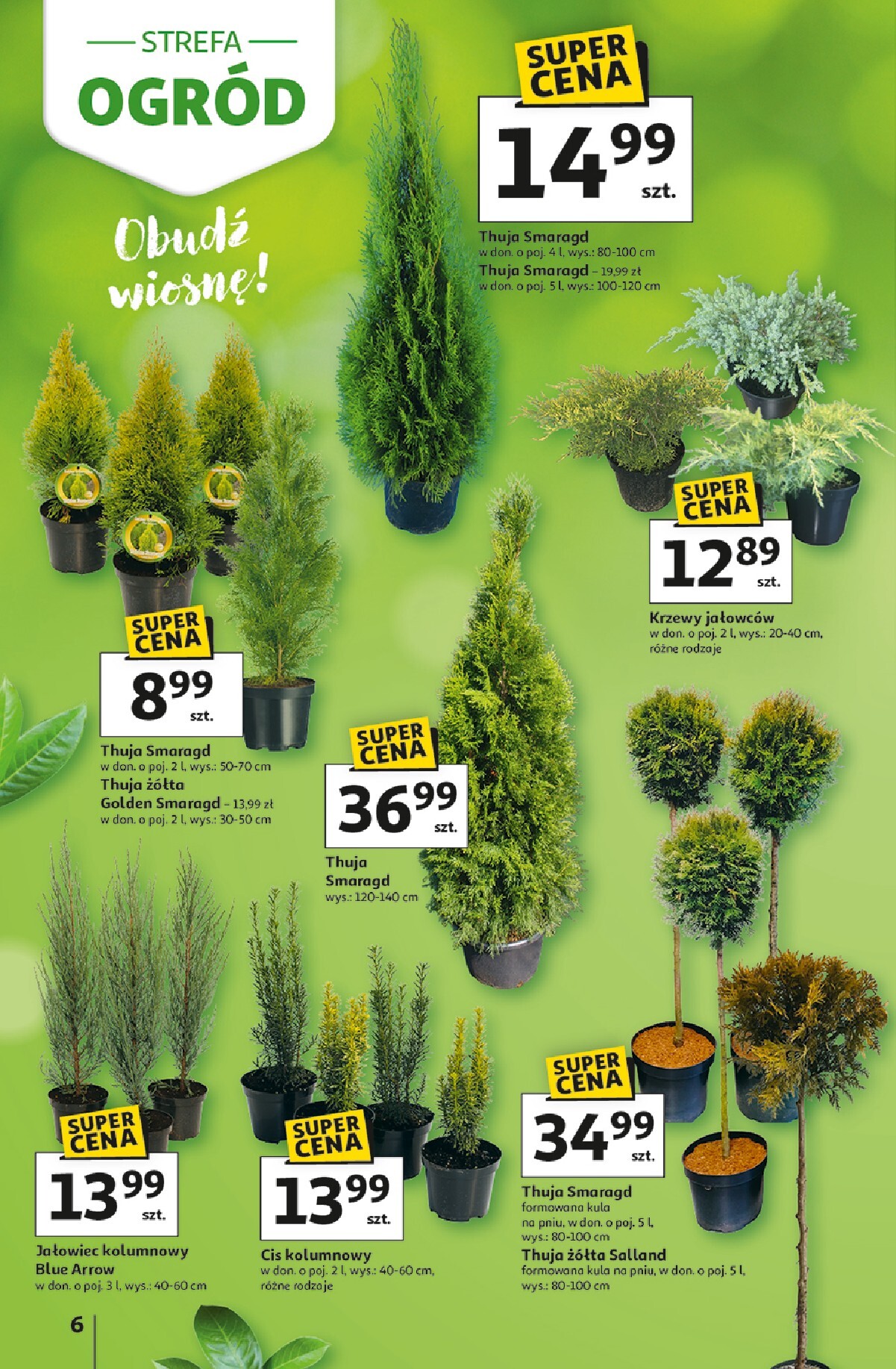 auchan - Gazetka Hipermarket Auchan - Strefa Ogród - ważna od 12.03.2026 do 04.04.2026 - page: 6