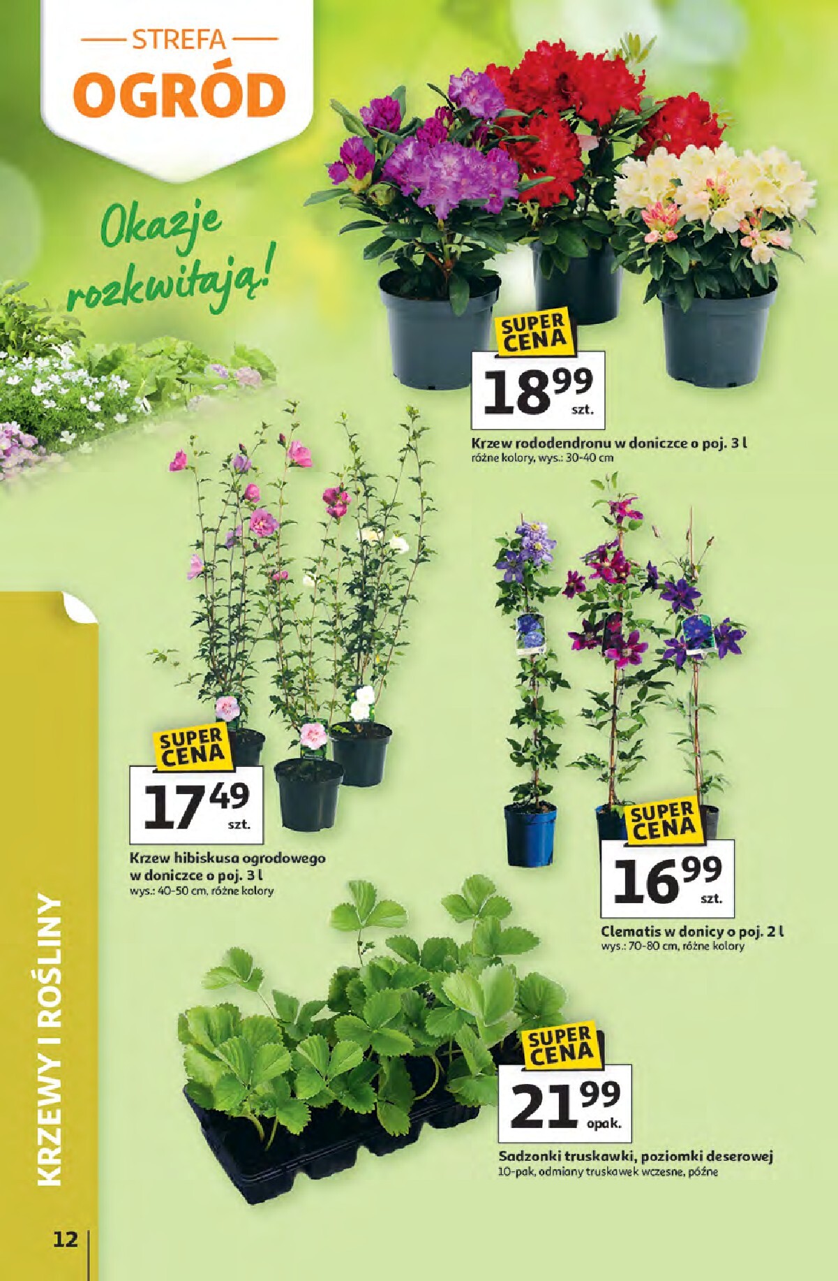 auchan - Aktualna gazetka Hipermarlet Auchan - Strefa Relaksu ważna od 09.04.2026 do 22.04.2026 - page: 12