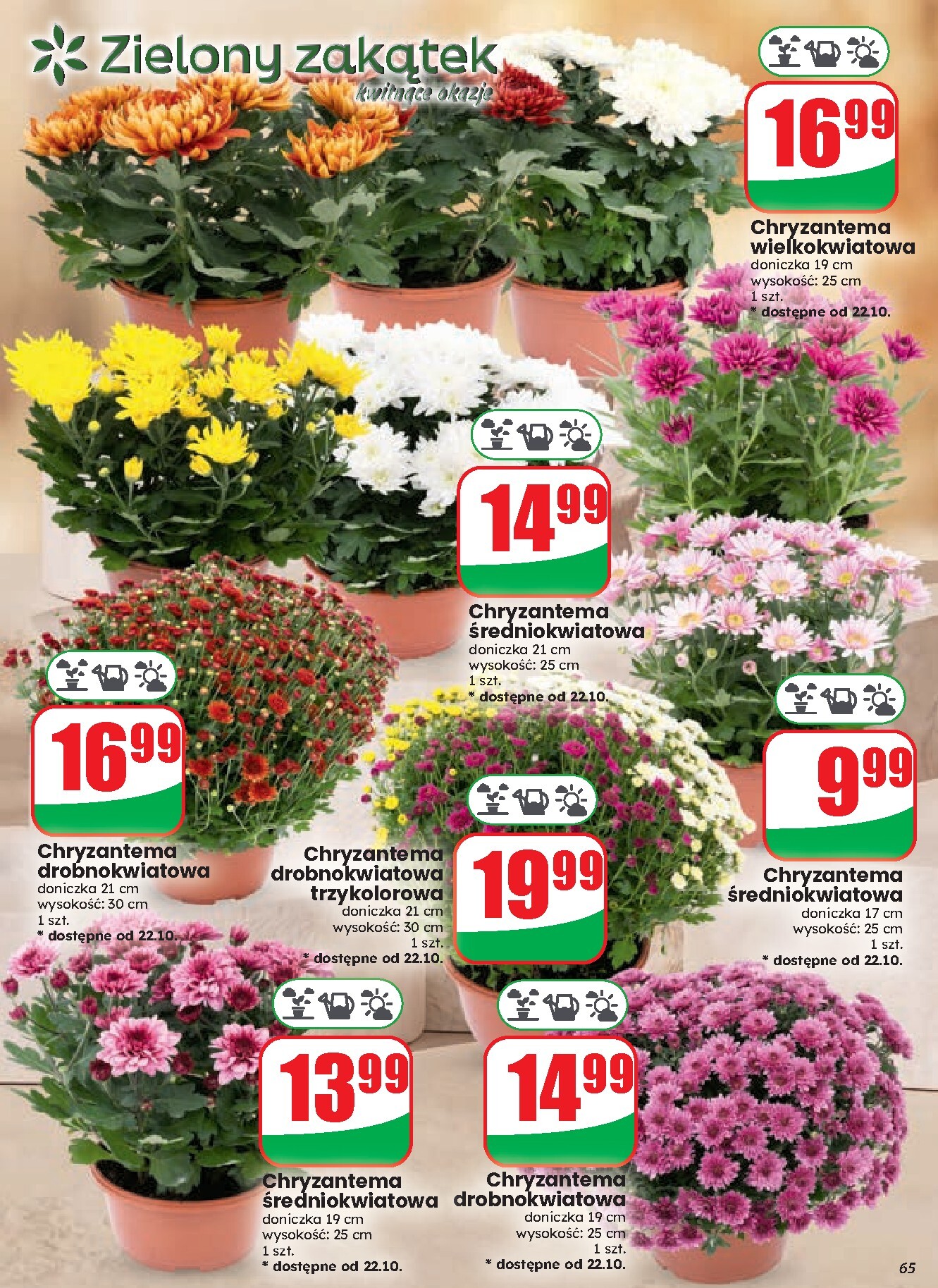 dino - Aktualna gazetka Dino ważna od 21.10.2026 do 27.10.2026 - page: 65