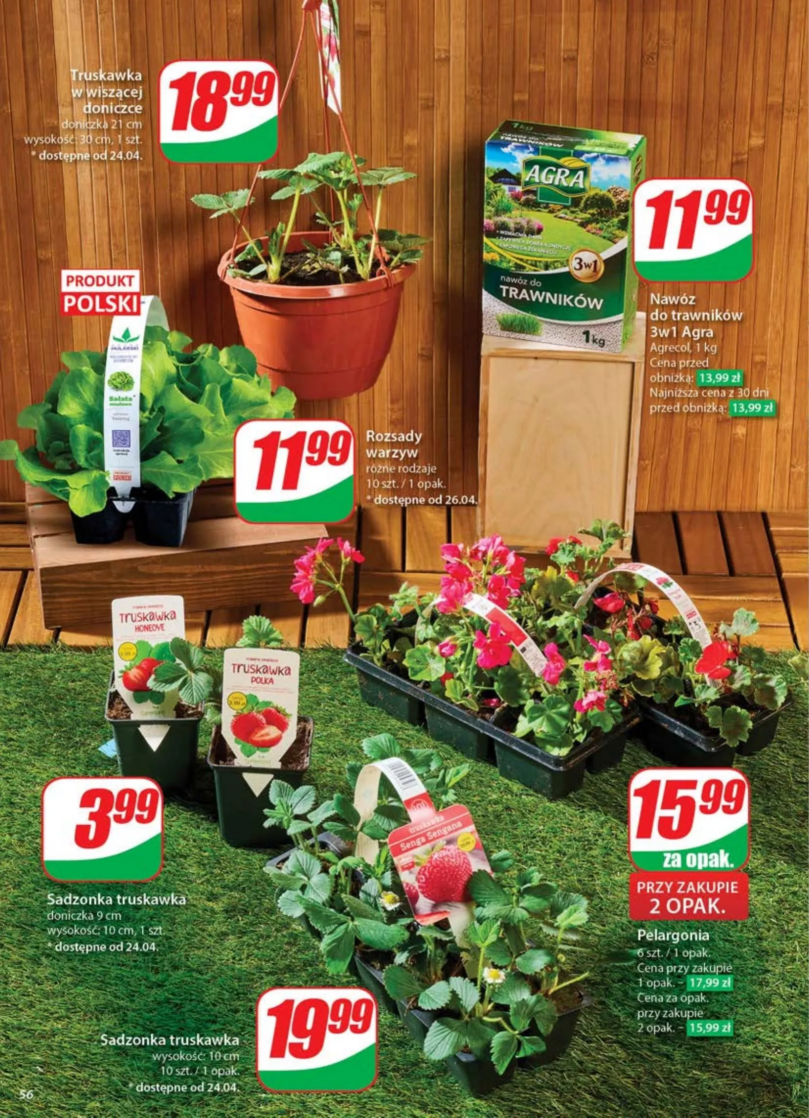 dino - Dino gazetka ważna od 23.04. - 29.04. - page: 56 dino - Dino gazetka ważna od 23.04. - 29.04. - page: 56