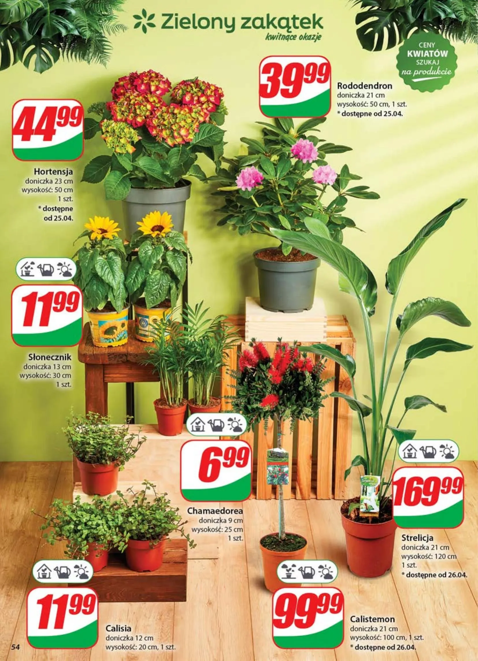 dino - Dino gazetka ważna od 23.04. - 29.04. - page: 54 dino - Dino gazetka ważna od 23.04. - 29.04. - page: 54
