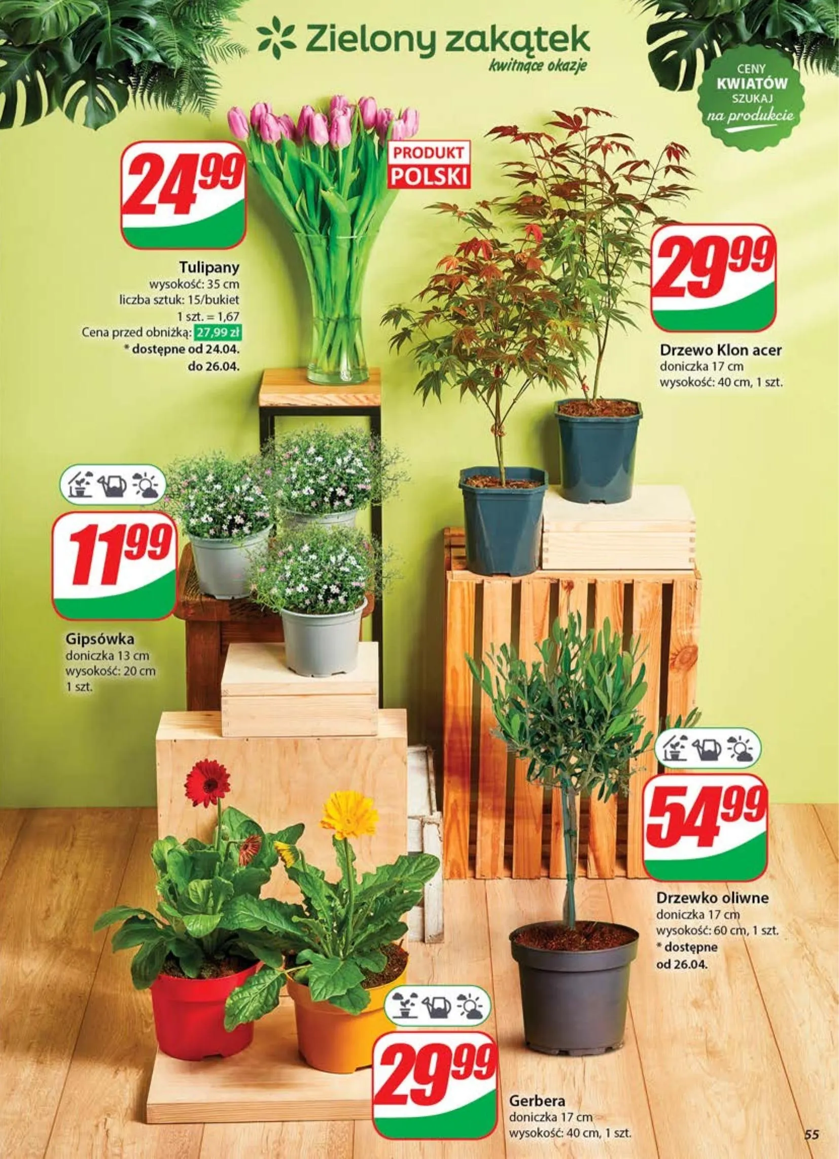 dino - Dino gazetka ważna od 23.04. - 29.04. - page: 55 dino - Dino gazetka ważna od 23.04. - 29.04. - page: 55