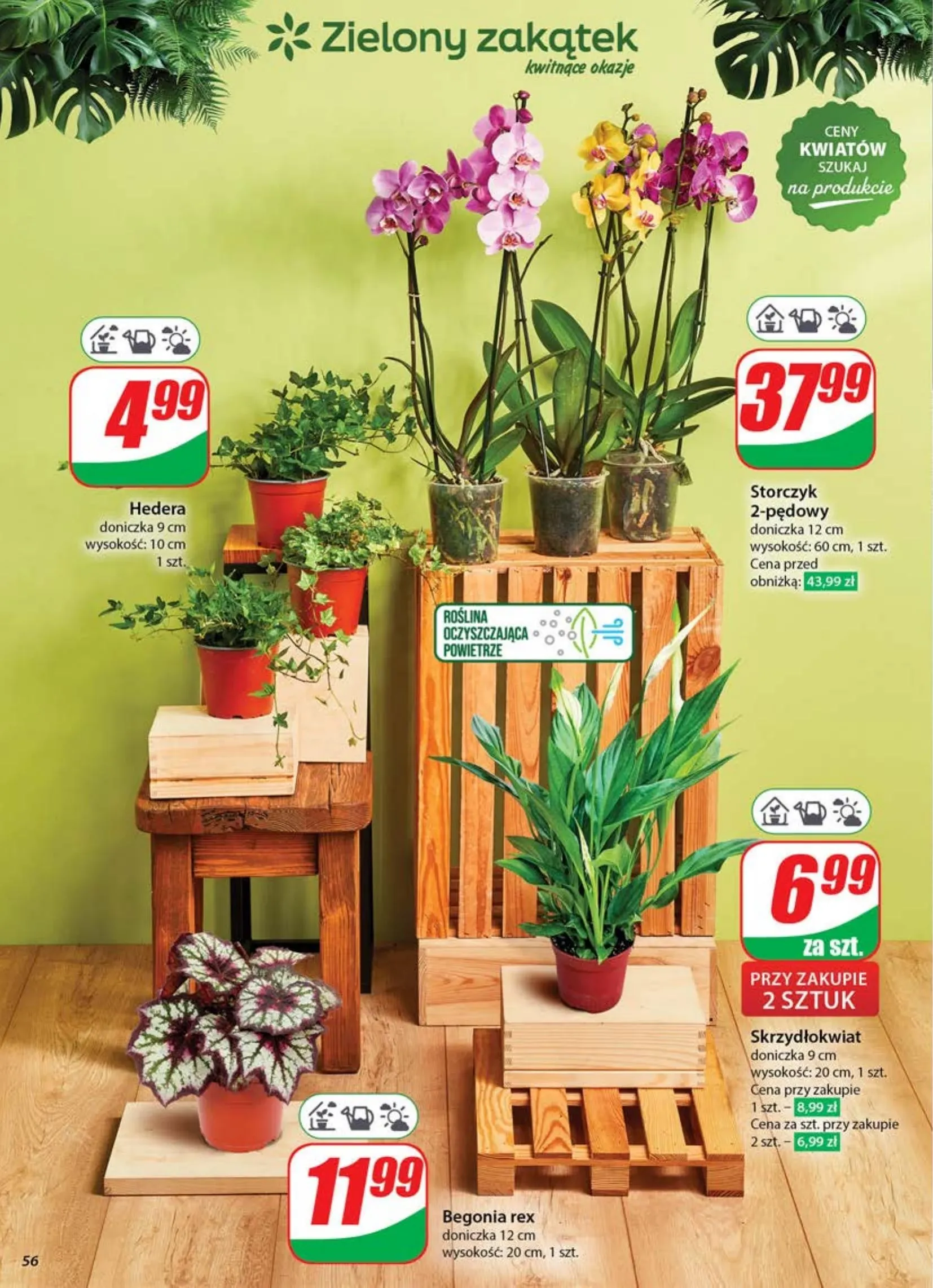 dino - Dino gazetka ważna od 30.04. - 06.05. - page: 56 dino - Dino gazetka ważna od 30.04. - 06.05. - page: 56