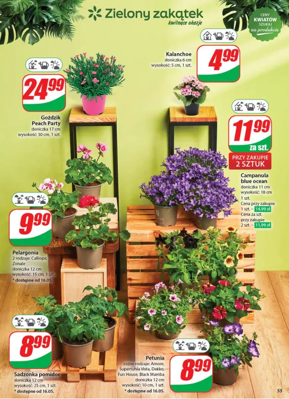 dino - Dino gazetka ważna od 14.05. - 20.05. - page: 55 dino - Dino gazetka ważna od 14.05. - 20.05. - page: 55