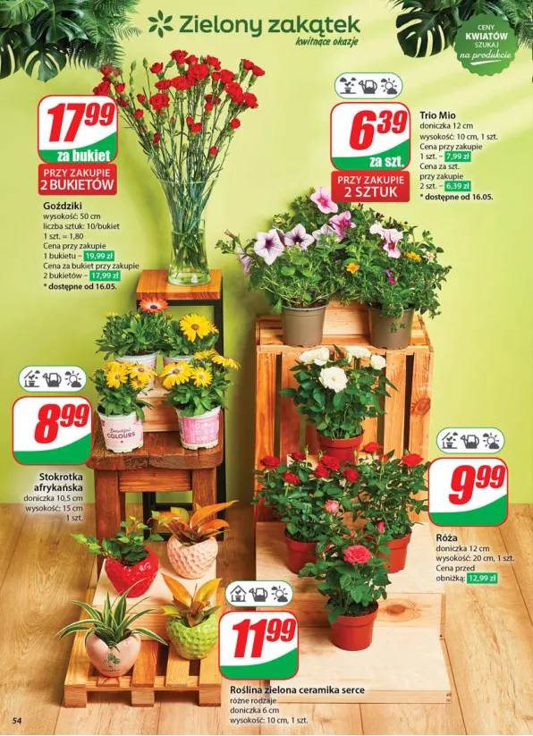dino - Dino gazetka ważna od 14.05. - 20.05. - page: 54 dino - Dino gazetka ważna od 14.05. - 20.05. - page: 54