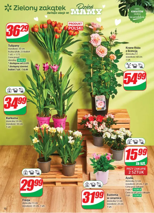 dino - Dino gazetka ważna od 21.05. - 27.05. - page: 12 dino - Dino gazetka ważna od 21.05. - 27.05. - page: 12