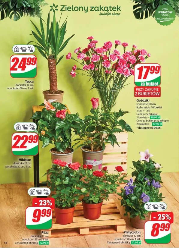 dino - Gazetka Dino ważna od 04.06. - 13.06. - page: 54 dino - Gazetka Dino ważna od 04.06. - 13.06. - page: 54