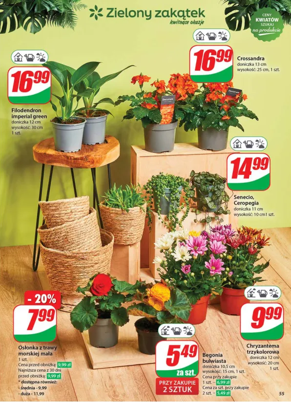 dino - Gazetka Dino ważna od 04.06. - 13.06. - page: 55 dino - Gazetka Dino ważna od 04.06. - 13.06. - page: 55