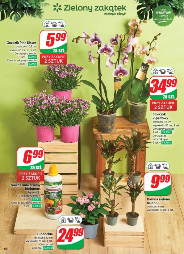 dino - Gazetka Dino ważna od 11.06. - 17.06. - page: 60 dino - Gazetka Dino ważna od 11.06. - 17.06. - page: 60