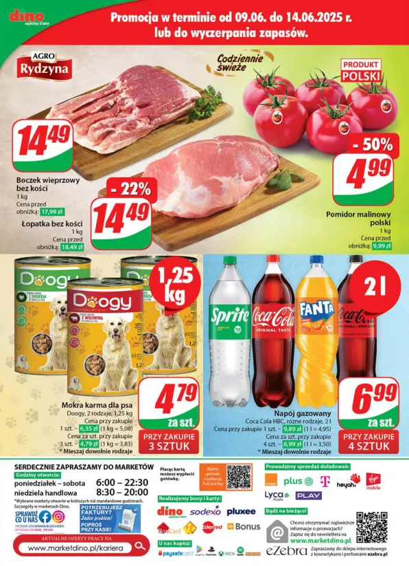 dino - Gazetka Dino ważna od 11.06. - 17.06. - page: 73 dino - Gazetka Dino ważna od 11.06. - 17.06. - page: 73