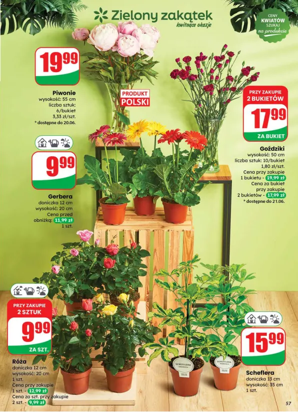 dino - Gazetka Dino ważna od 18.06. - 24.06. - page: 57 dino - Gazetka Dino ważna od 18.06. - 24.06. - page: 57