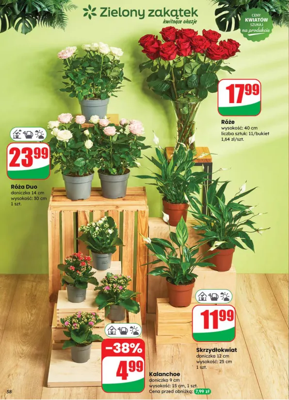 dino - Gazetka Dino ważna od 18.06. - 24.06. - page: 58 dino - Gazetka Dino ważna od 18.06. - 24.06. - page: 58