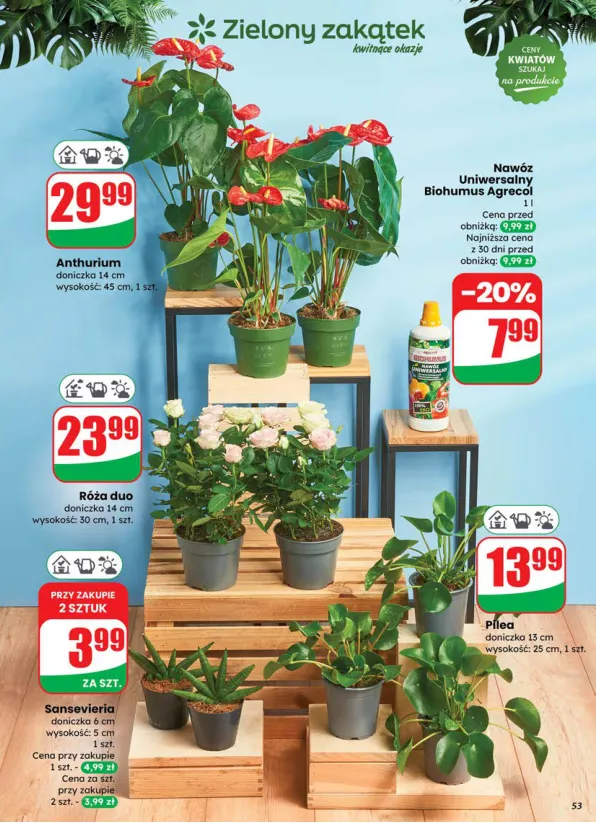 dino - Gazetka Dino ważna od 16.07. - 22.07. - page: 53 dino - Gazetka Dino ważna od 16.07. - 22.07. - page: 53