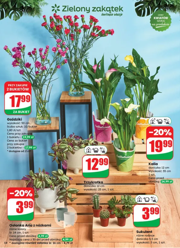 dino - Gazetka Dino ważna od 23.07. - 29.07. - page: 54 dino - Gazetka Dino ważna od 23.07. - 29.07. - page: 54
