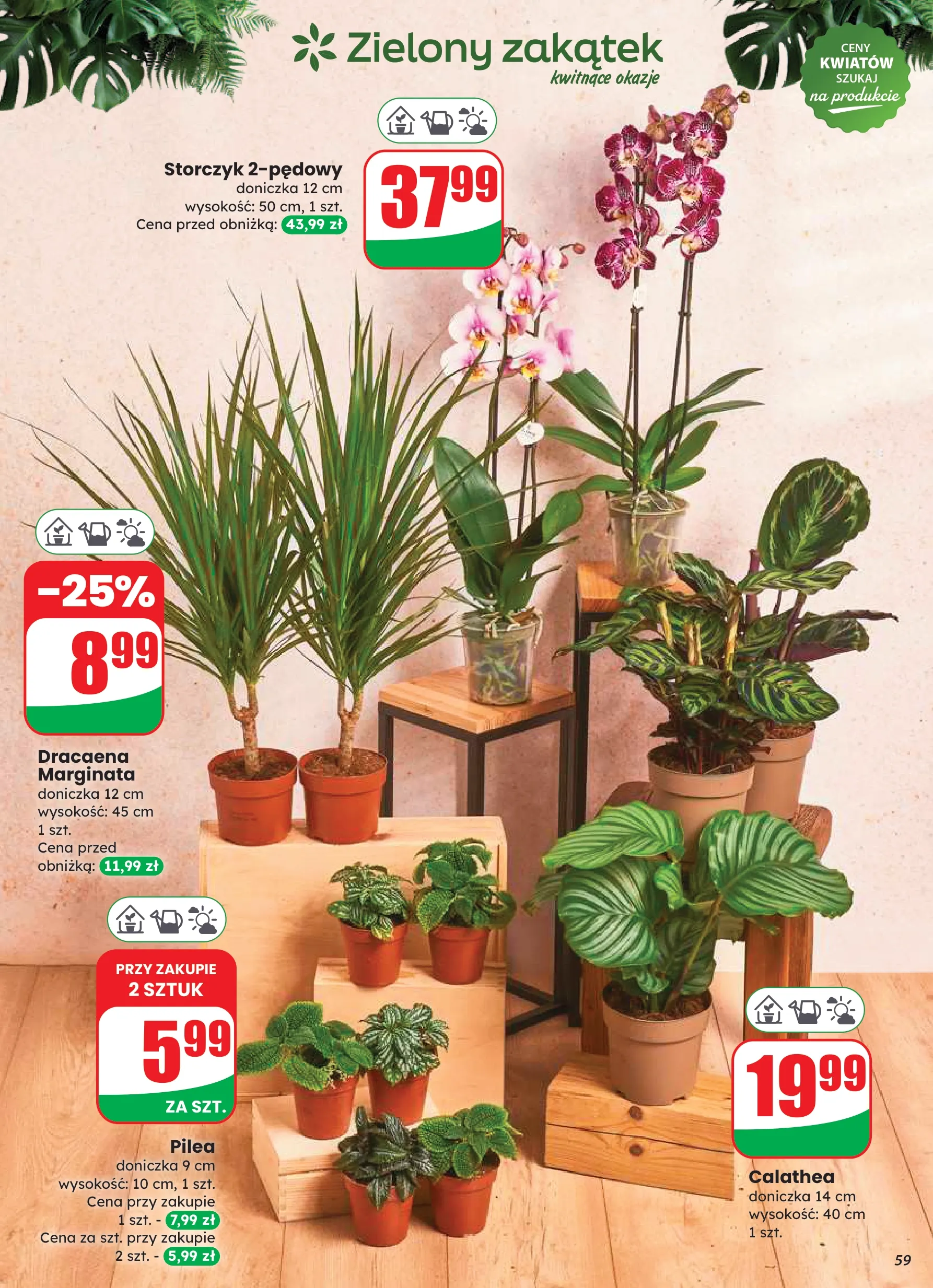 dino - Gazetka Dino - ważna od 20.08. do 26.08. - page: 59