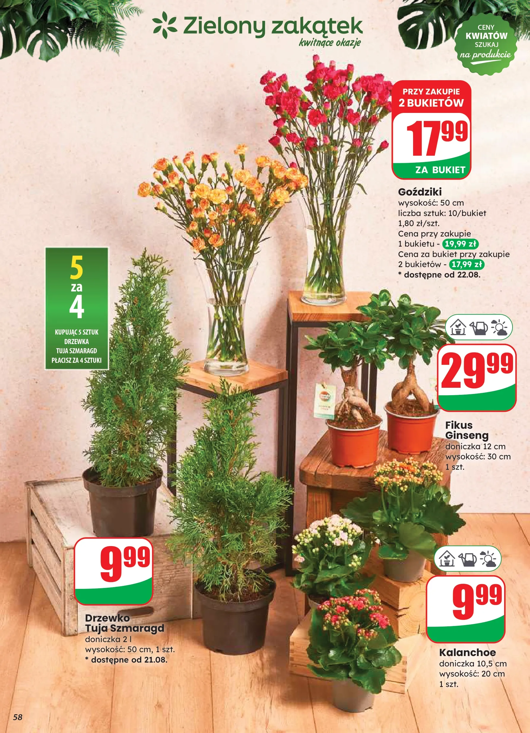 dino - Gazetka Dino - ważna od 20.08. do 26.08. - page: 58