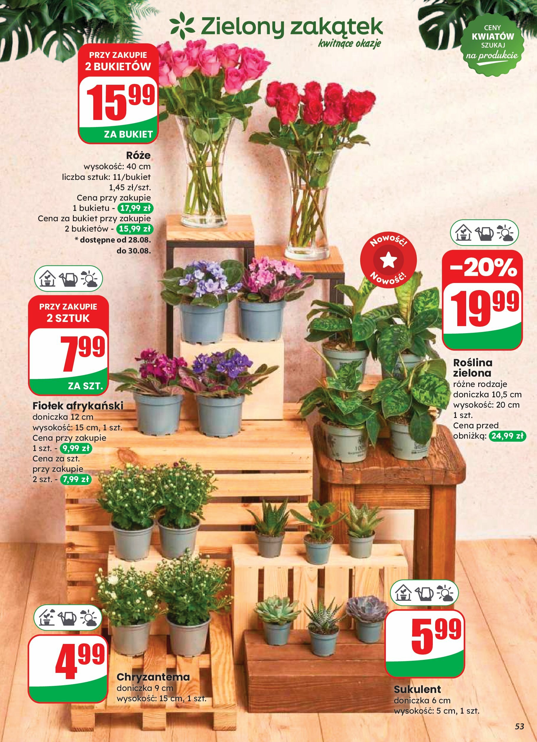 dino - Gazetka Dino - ważna od 27.08. do 02.09. - page: 53 dino - Gazetka Dino - ważna od 27.08. do 02.09. - page: 53