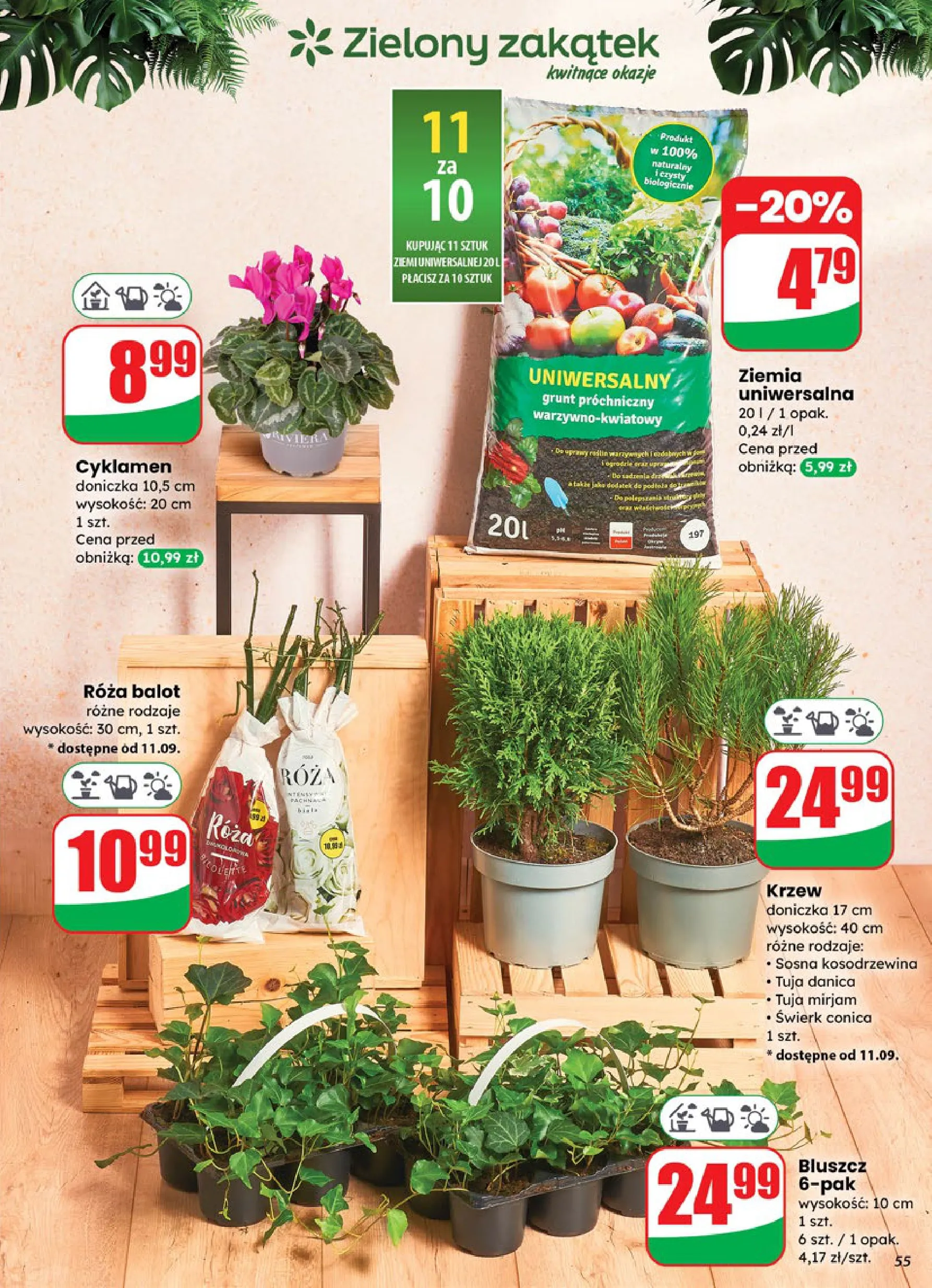dino - Gazetka Dino - ważna od 10.09. do 16.09. - page: 55