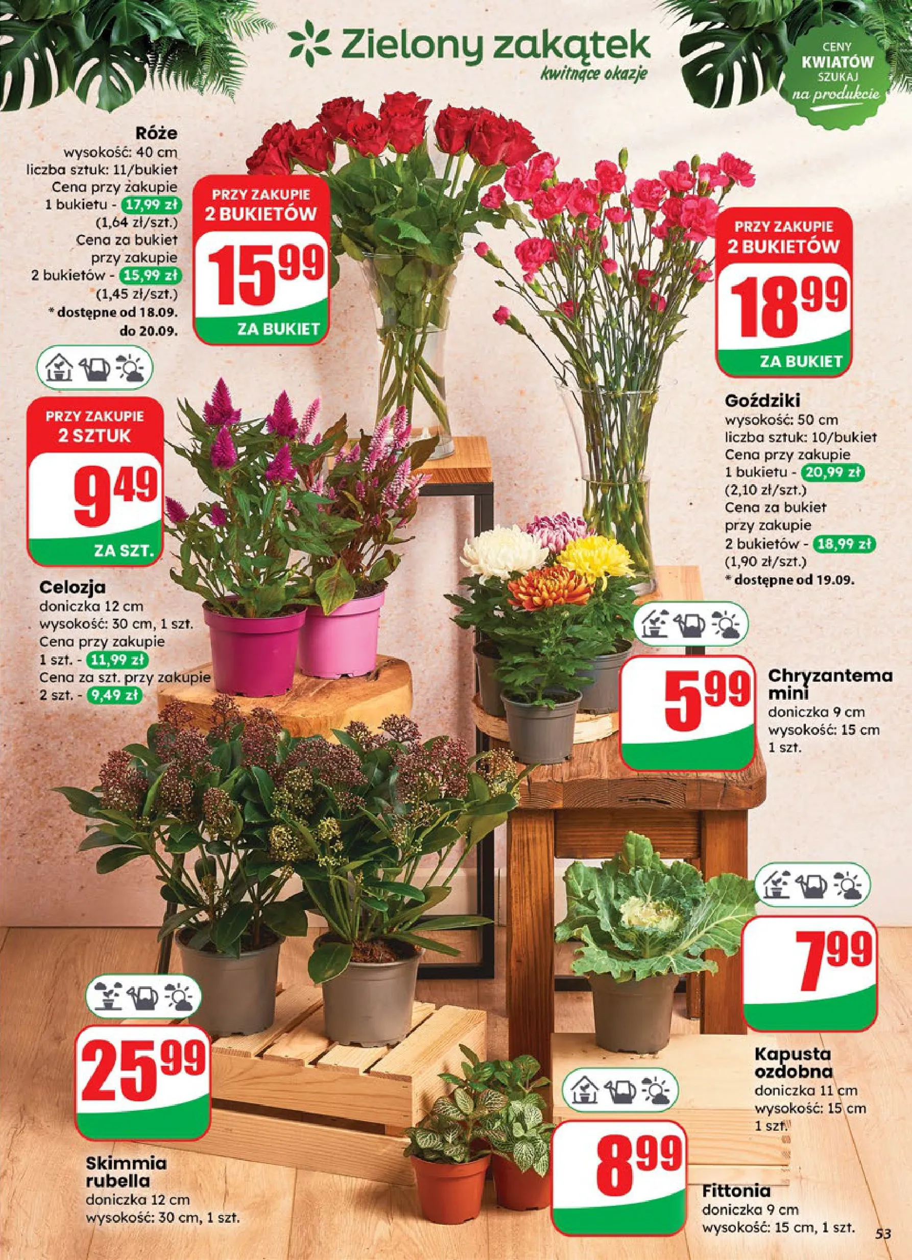 dino - Gazetka Dino - ważna od 17.09. do 23.09. - page: 53 dino - Gazetka Dino - ważna od 17.09. do 23.09. - page: 53