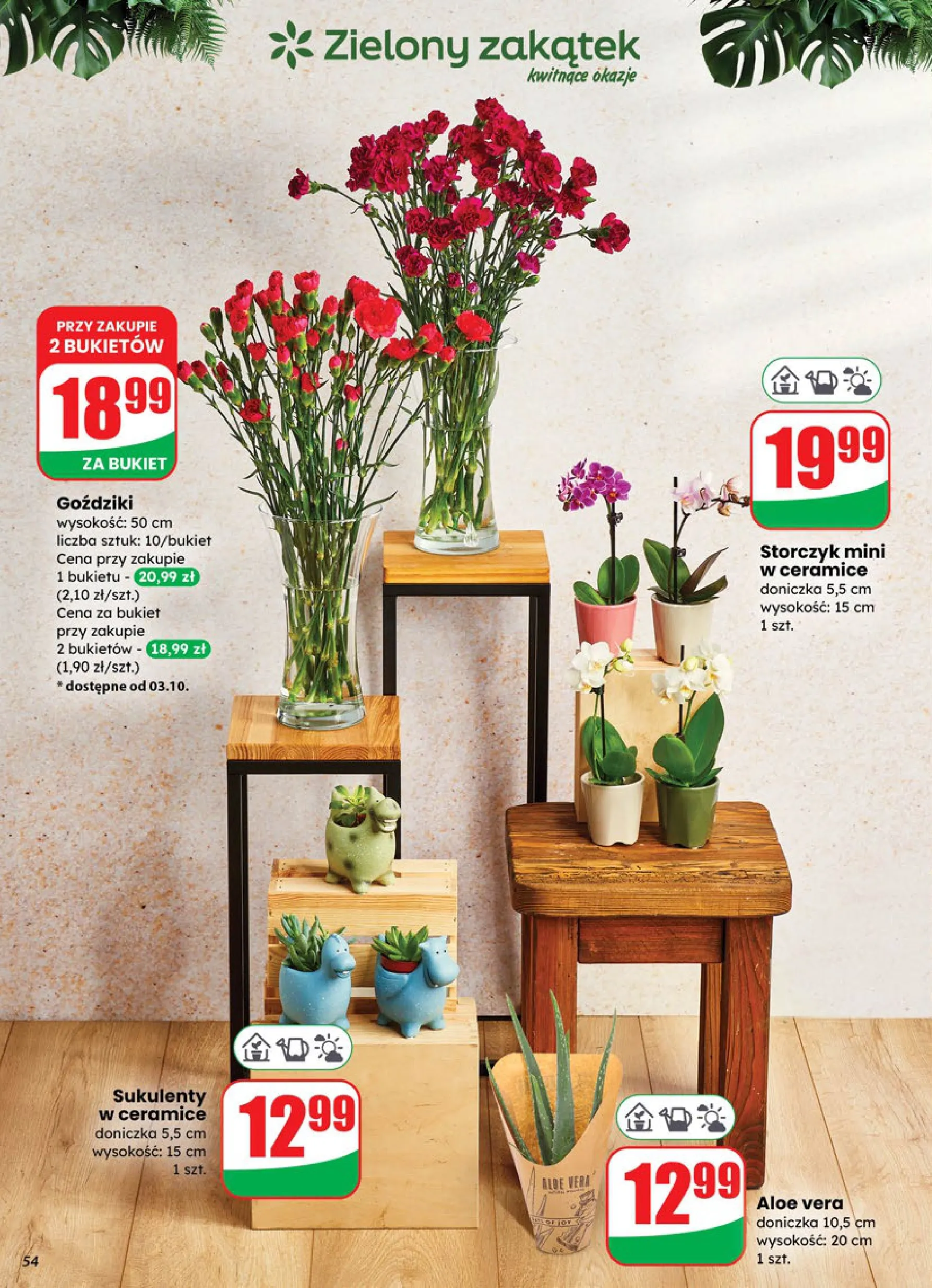 dino - Gazetka Dino - ważna od 01.10. do 07.10. - page: 54