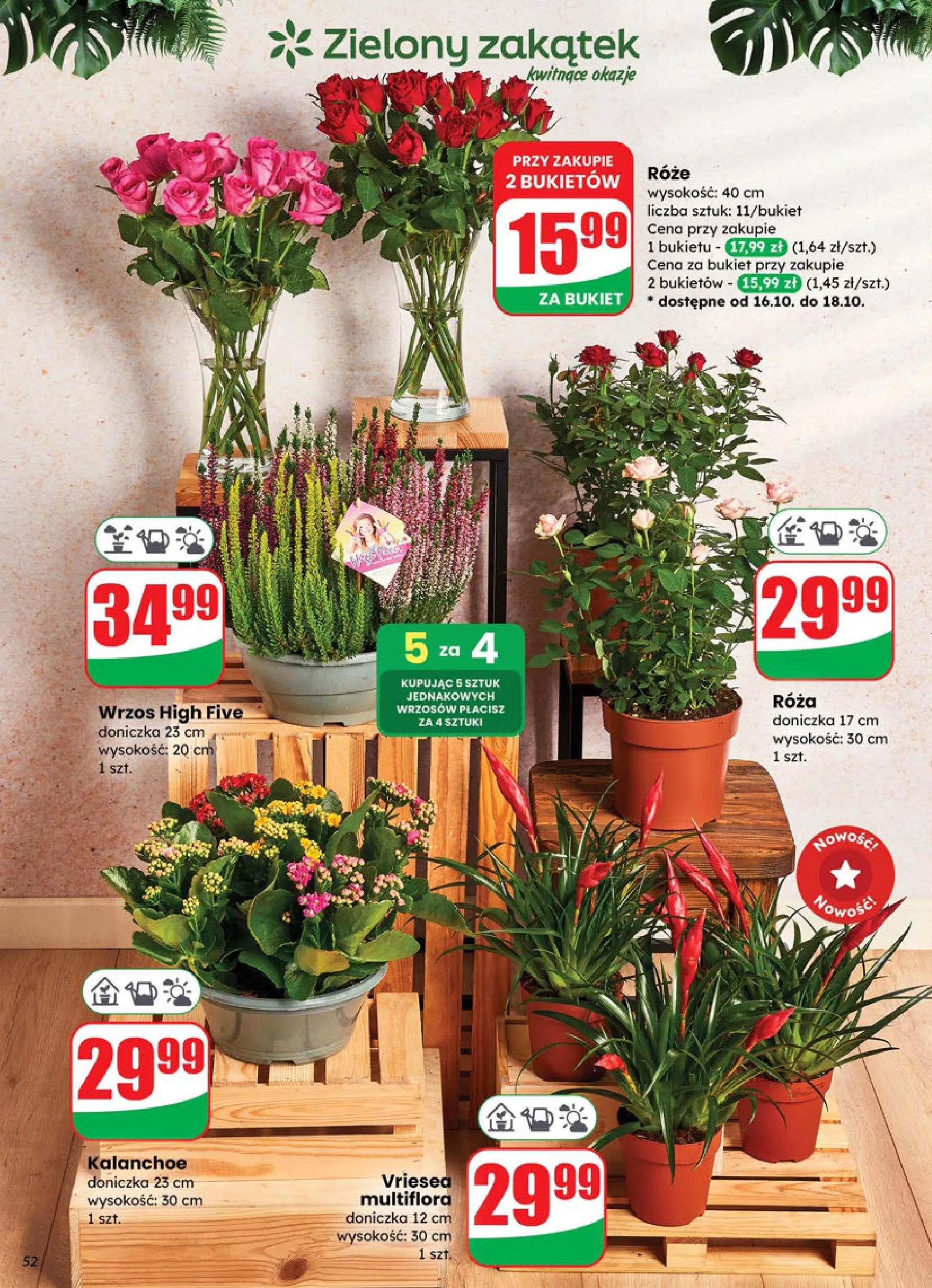 dino - Gazetka Dino - ważna od 15.10. do 21.10. - page: 52 dino - Gazetka Dino - ważna od 15.10. do 21.10. - page: 52