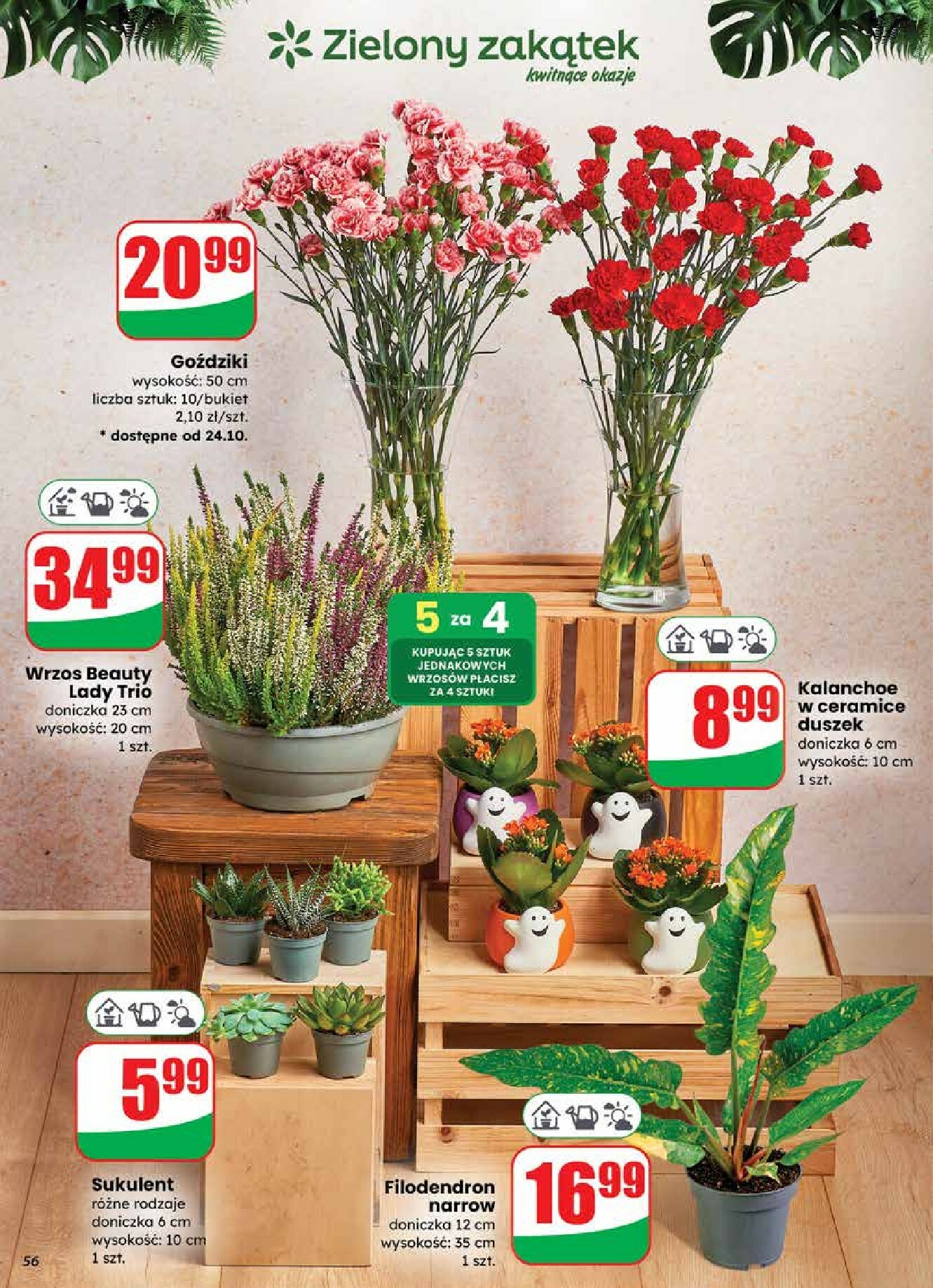 dino - Gazetka Dino - ważna od 22.10. do 28.10. - page: 56 dino - Gazetka Dino - ważna od 22.10. do 28.10. - page: 56