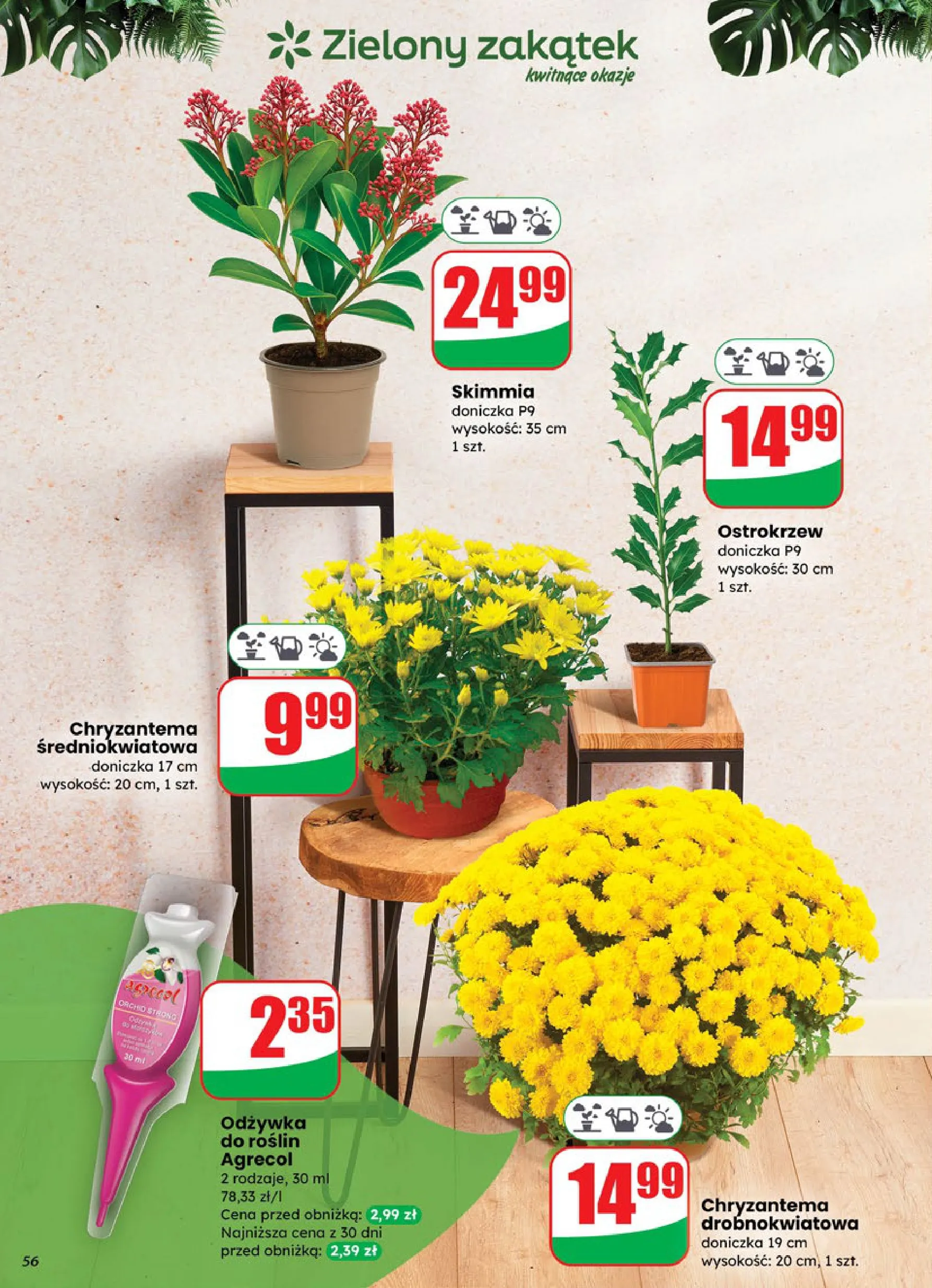 dino - Gazetka Dino - ważna od 29.10. do 04.11. - page: 56 dino - Gazetka Dino - ważna od 29.10. do 04.11. - page: 56