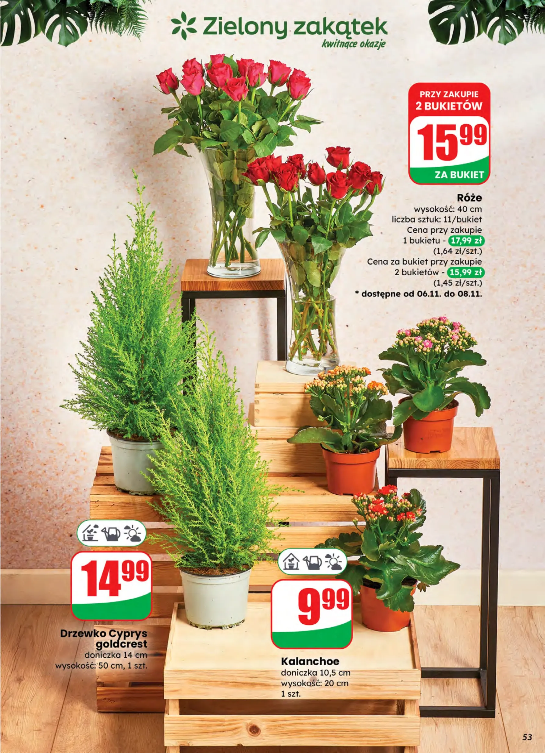 dino - Gazetka Dino - ważna od 05.11. do 10.11. - page: 53