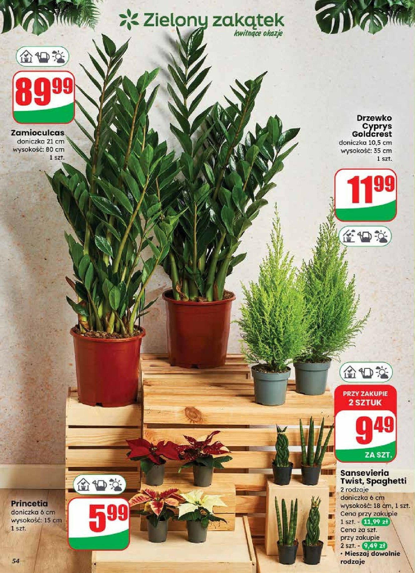 dino - Gazetka Dino - ważna od 19.11. do 25.11. - page: 54