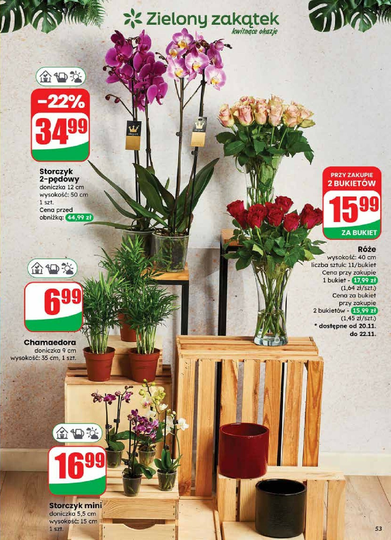 dino - Gazetka Dino - ważna od 19.11. do 25.11. - page: 53