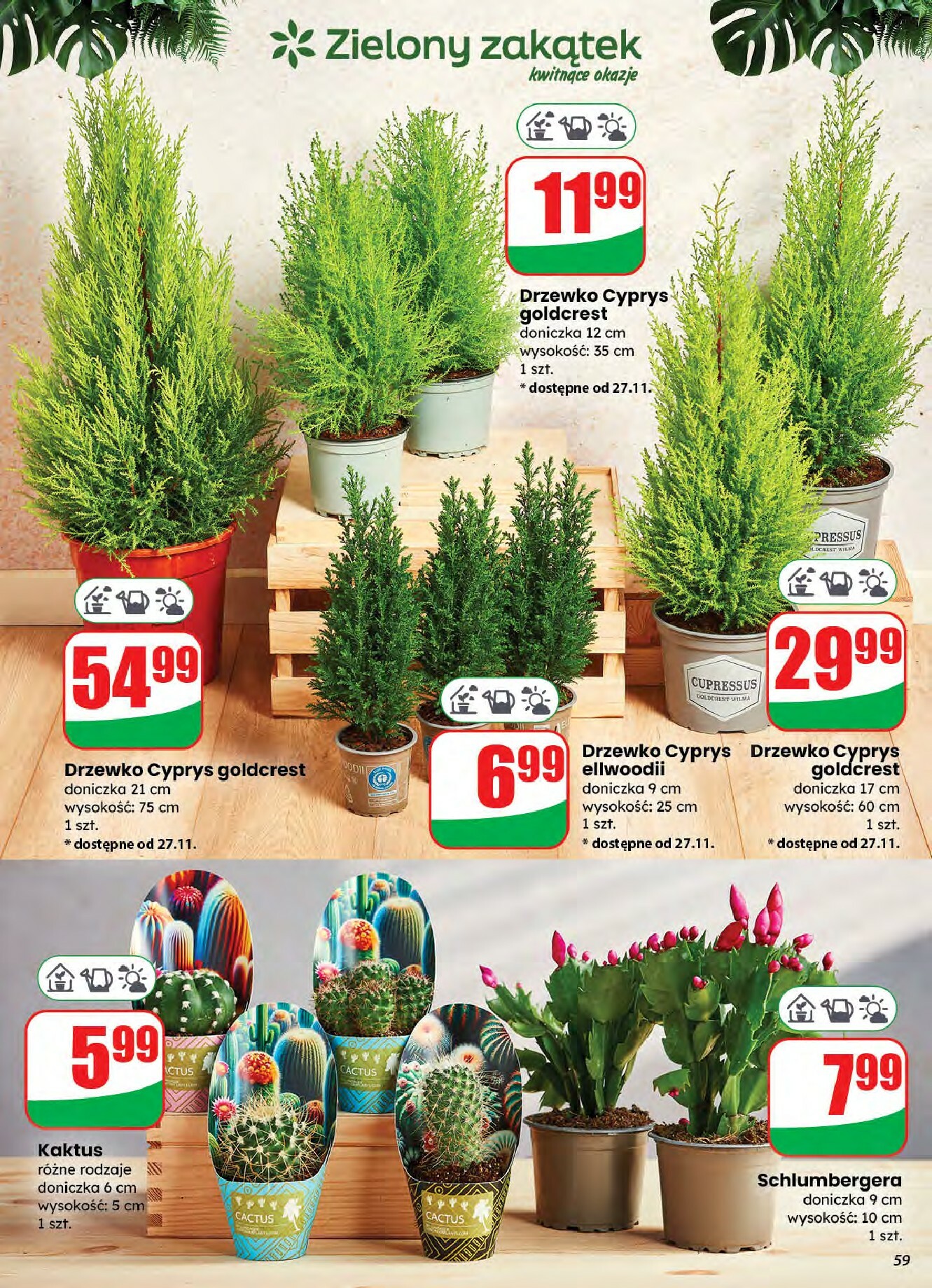 dino - Gazetka Dino - ważna od 26.11. do 02.12. - page: 59