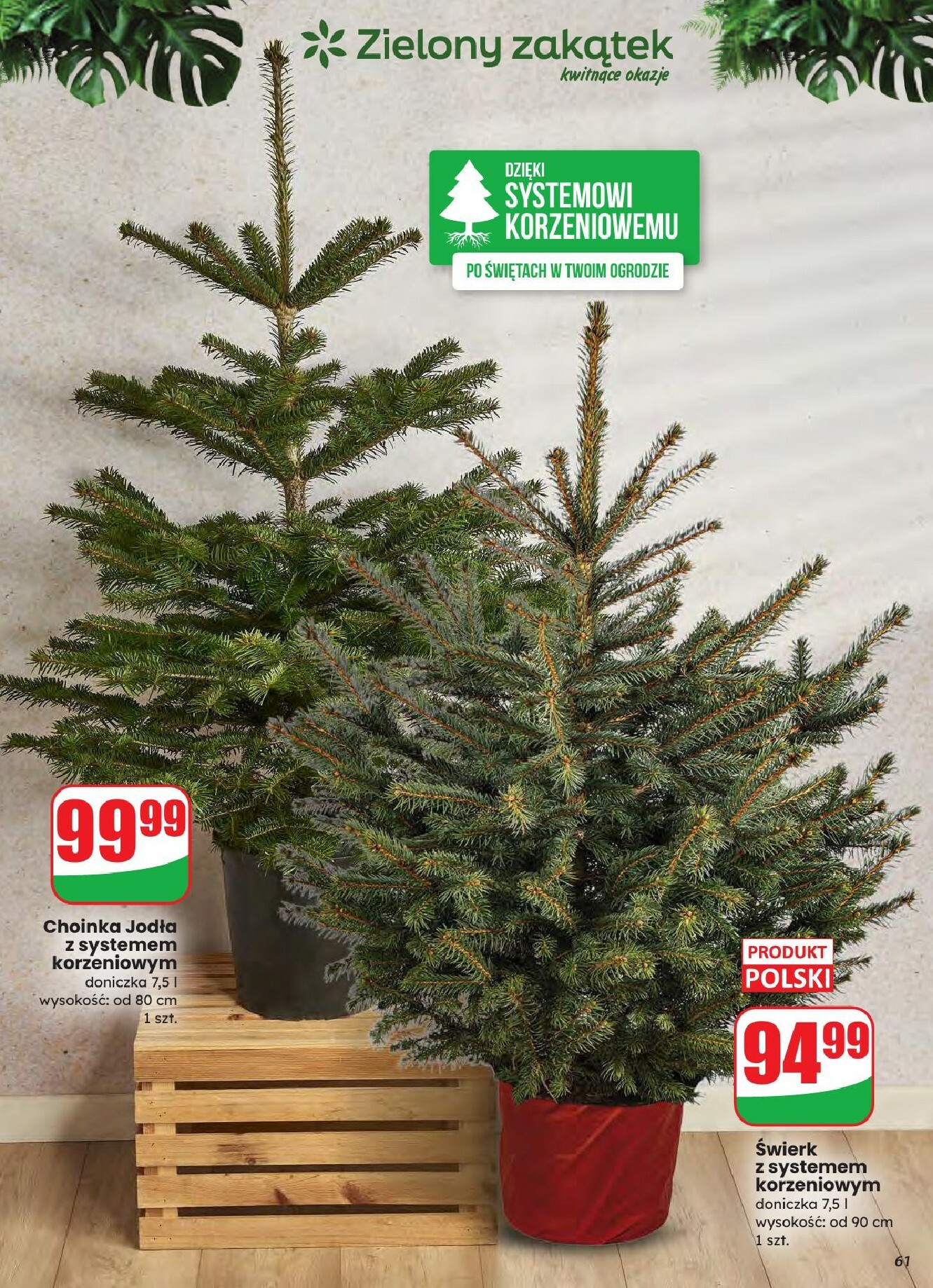 dino - Gazetka Dino - ważna od 03.12. do 09.12. - page: 61