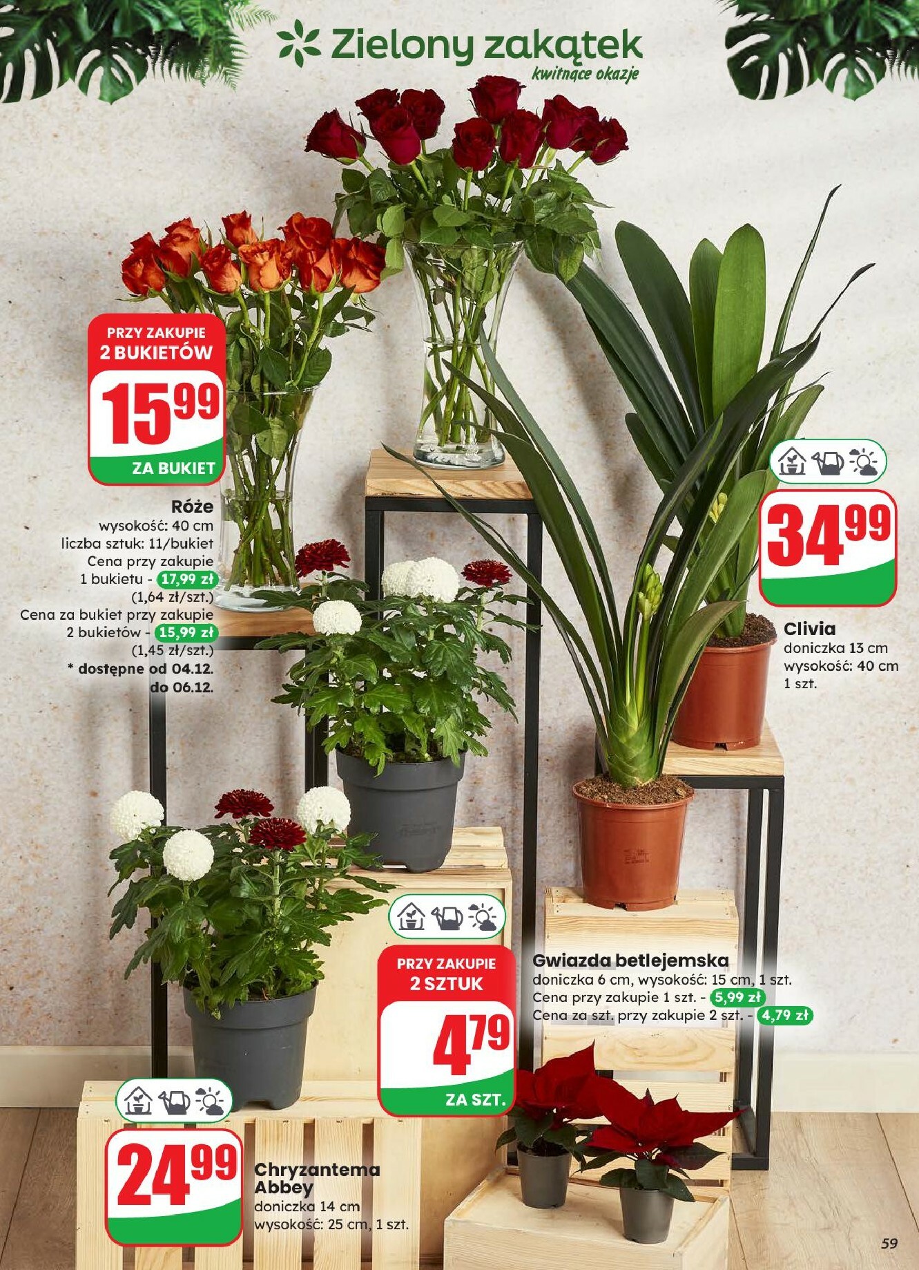 dino - Gazetka Dino - ważna od 03.12. do 09.12. - page: 59