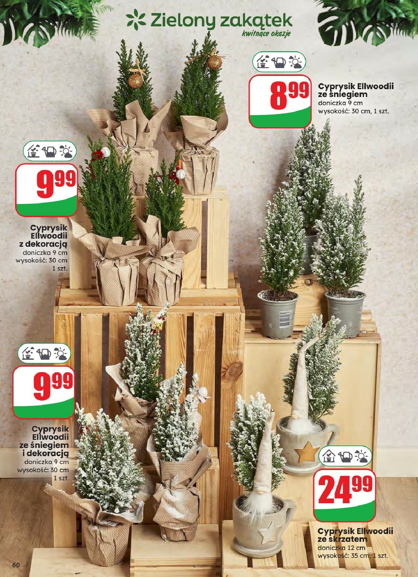 dino - Gazetka Dino - ważna od 03.12. do 09.12. - page: 60