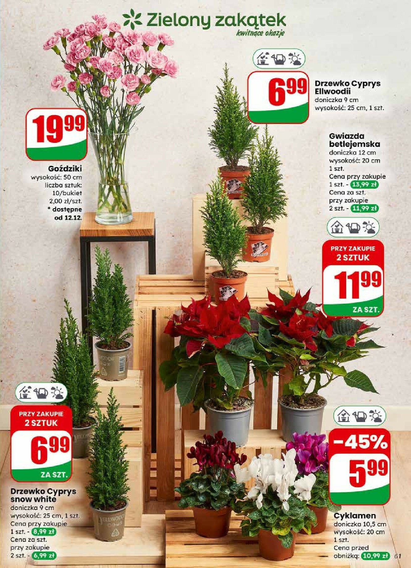 dino - Gazetka Dino - ważna od 10.12. do 16.12. - page: 61