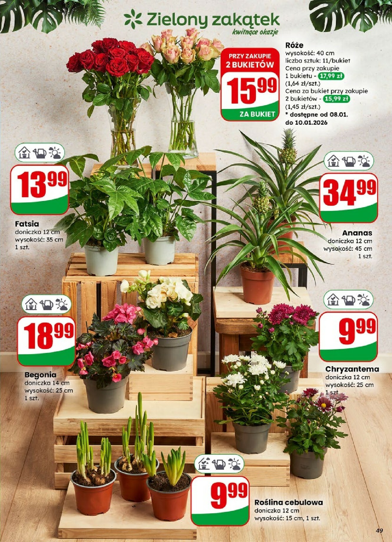 dino - Gazetka Dino - ważna od 07.01. do 13.01. - page: 49