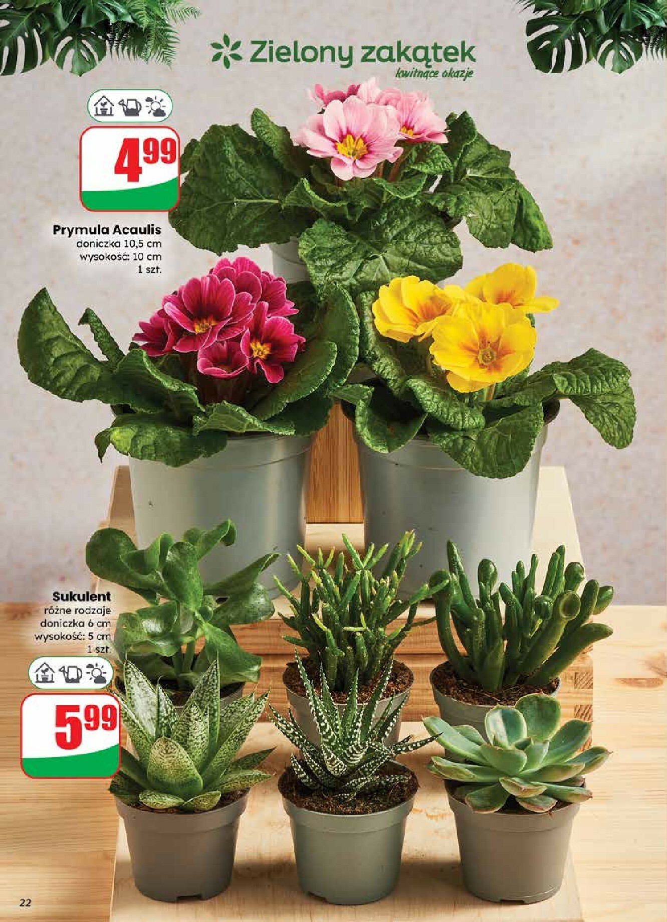 dino - Gazetka Dino - ważna od 14.01. do 20.01. - page: 22