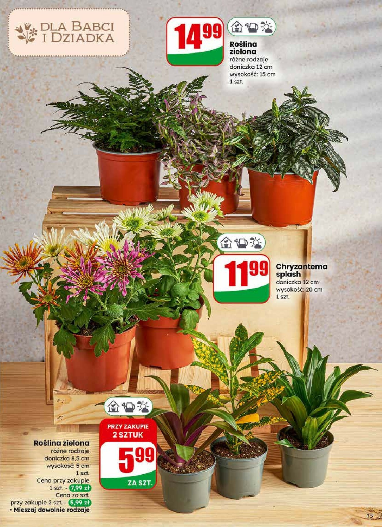 dino - Gazetka Dino - ważna od 21.01. do 27.01. - page: 15