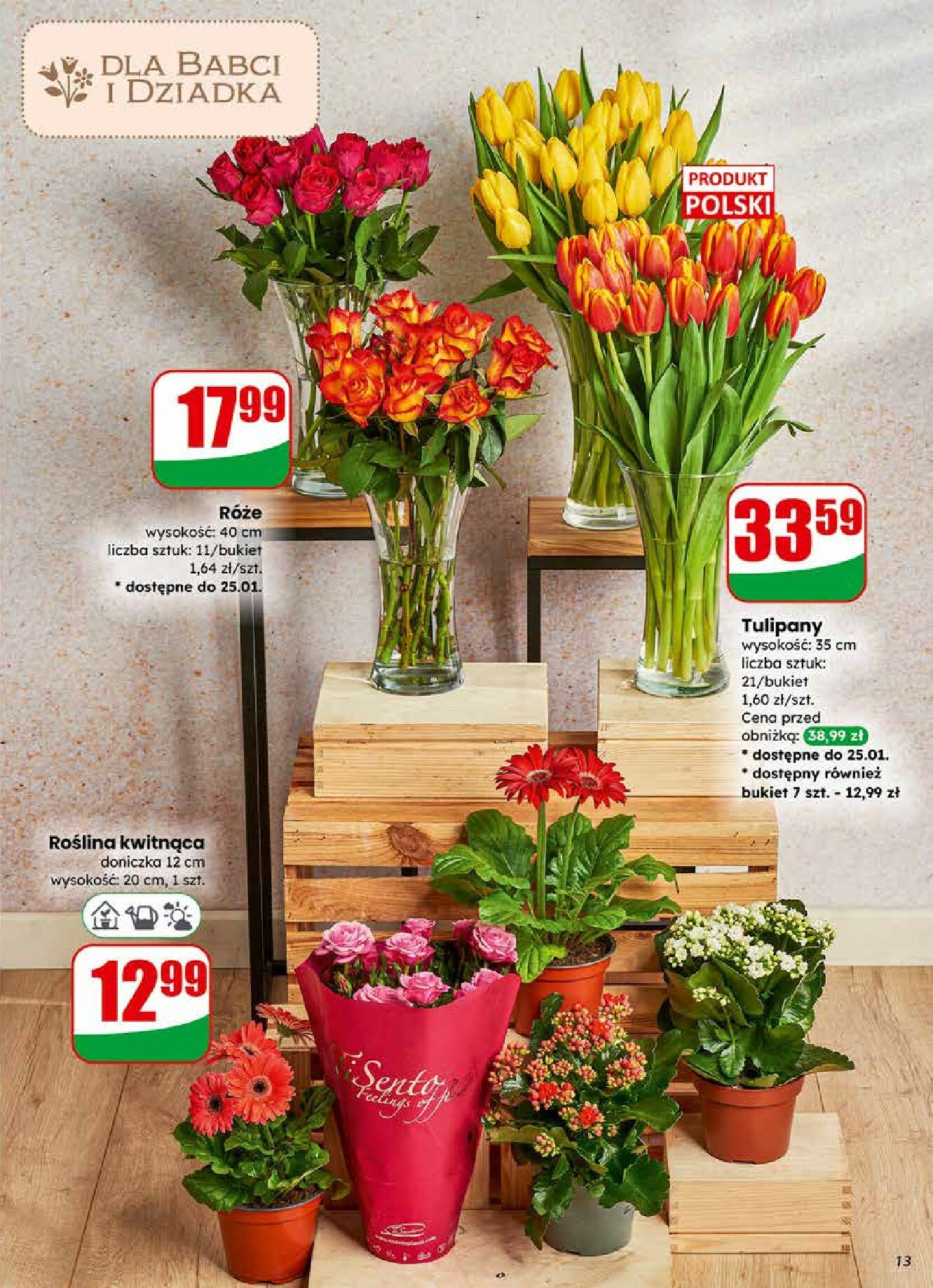 dino - Gazetka Dino - ważna od 21.01. do 27.01. - page: 13