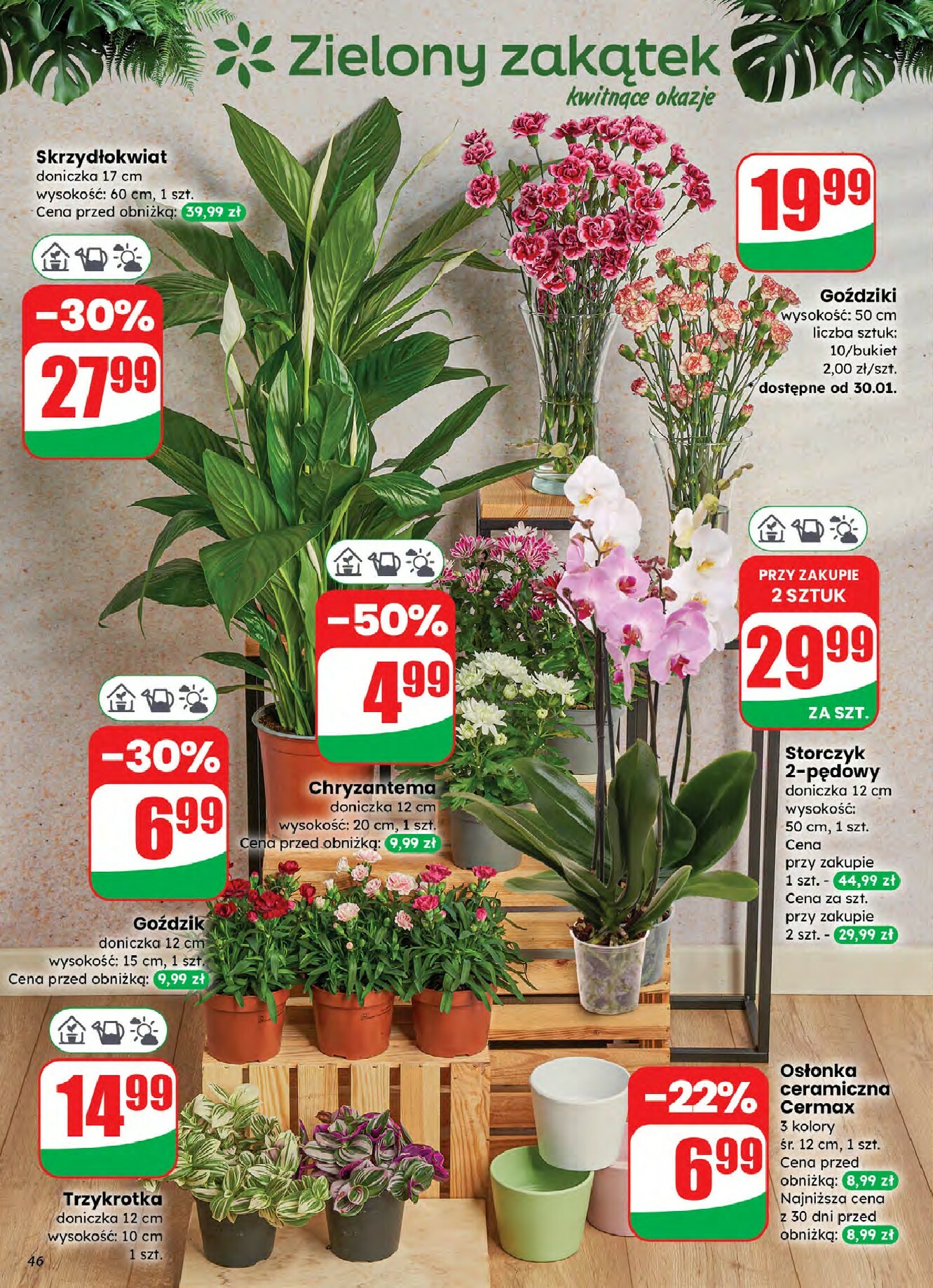 dino - Gazetka Dino - ważna od 28.01. do 03.02. - page: 46