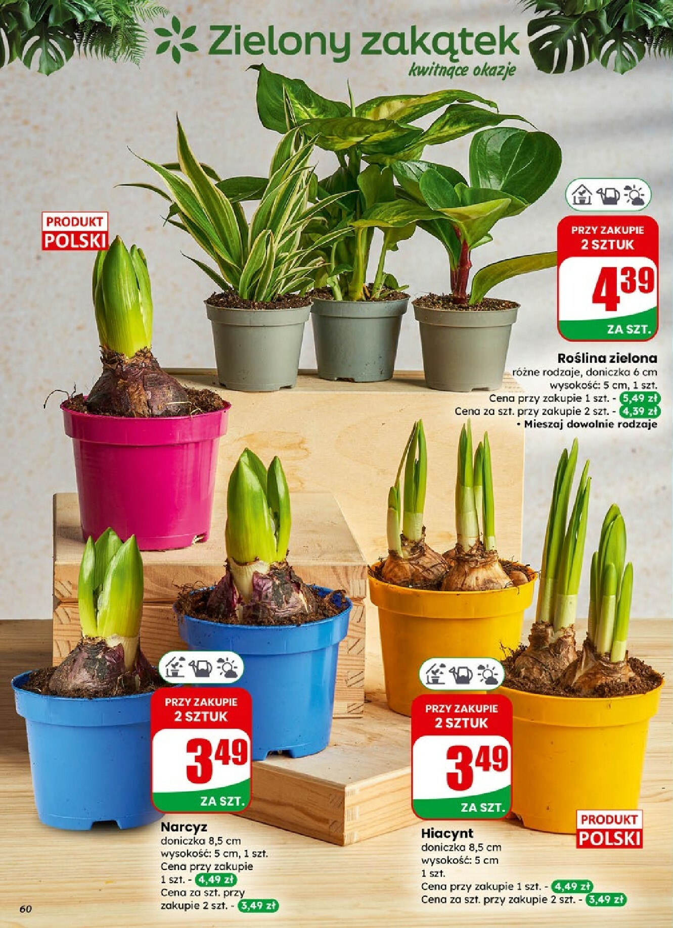 dino - Gazetka Dino - ważna od 04.02.2026 do 10.02.2026 - page: 60