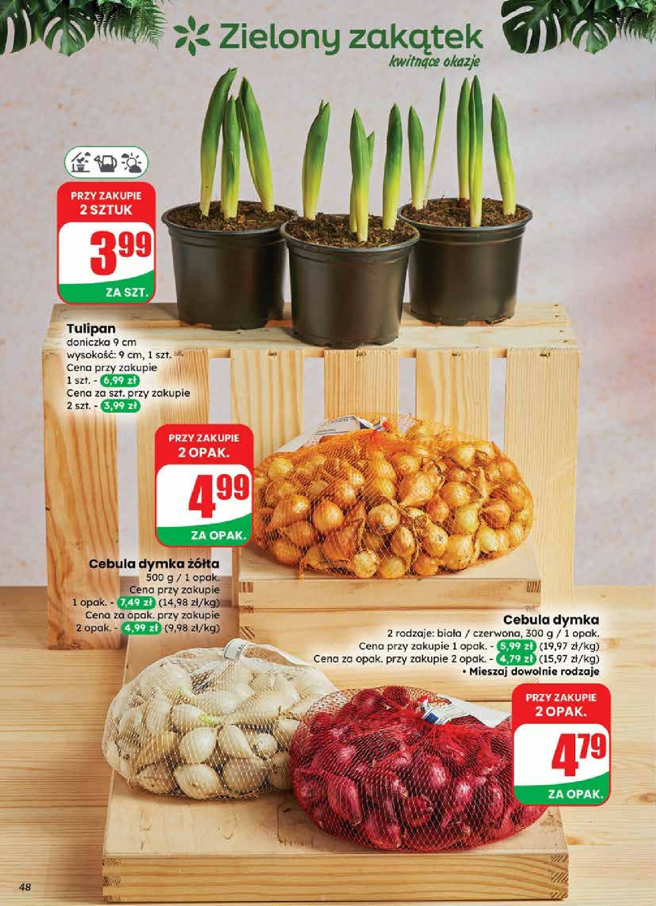 dino - Gazetka Dino - ważna od 18.02.2026 do 24.02.2026 - page: 48