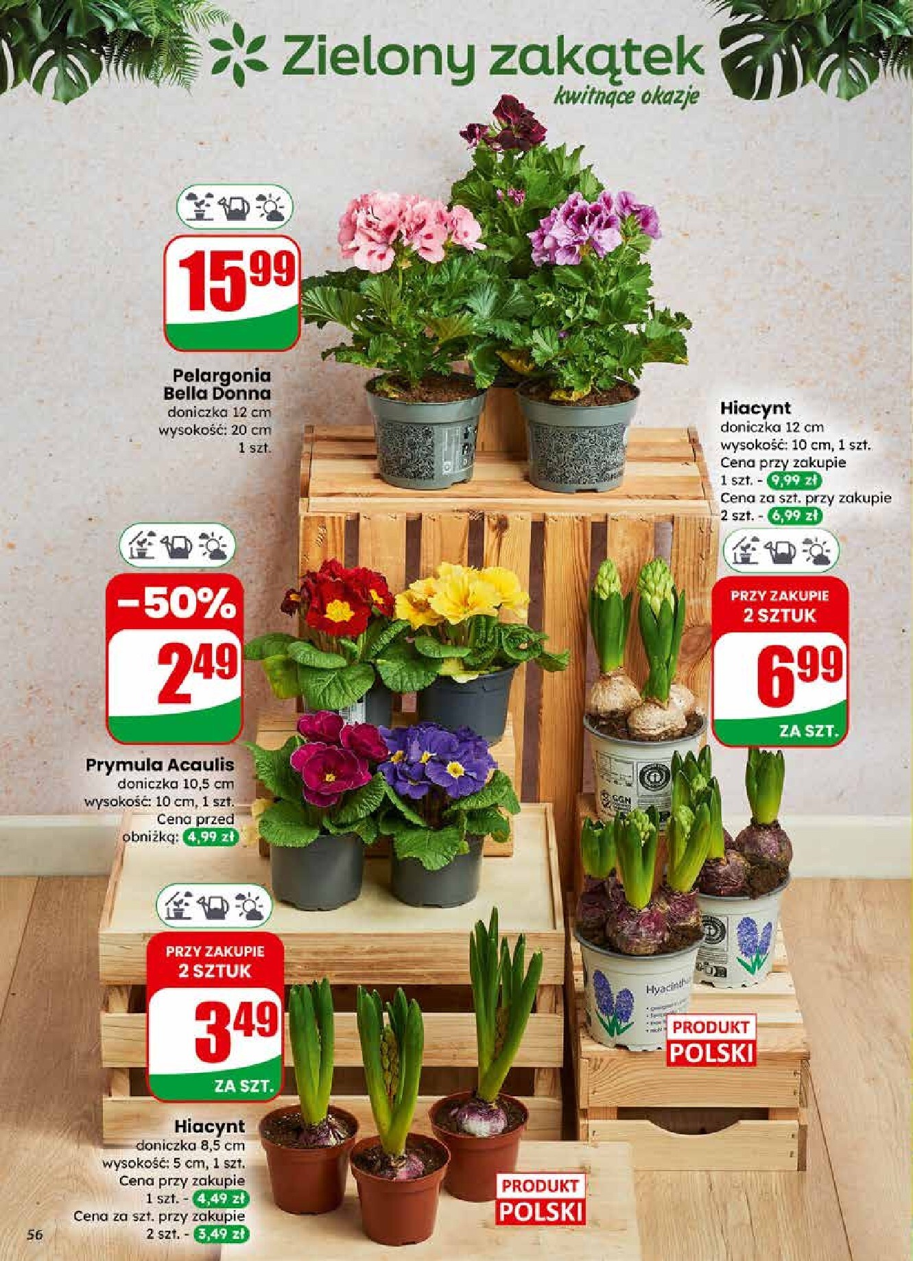 dino - Gazetka Dino - ważna od 25.02.2026 do 03.03.2026 - page: 56