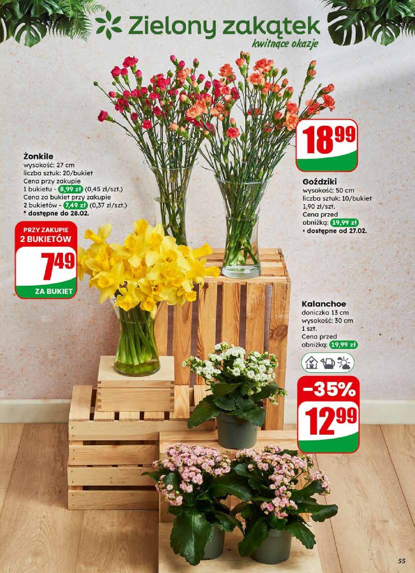 dino - Gazetka Dino - ważna od 25.02.2026 do 03.03.2026 - page: 55