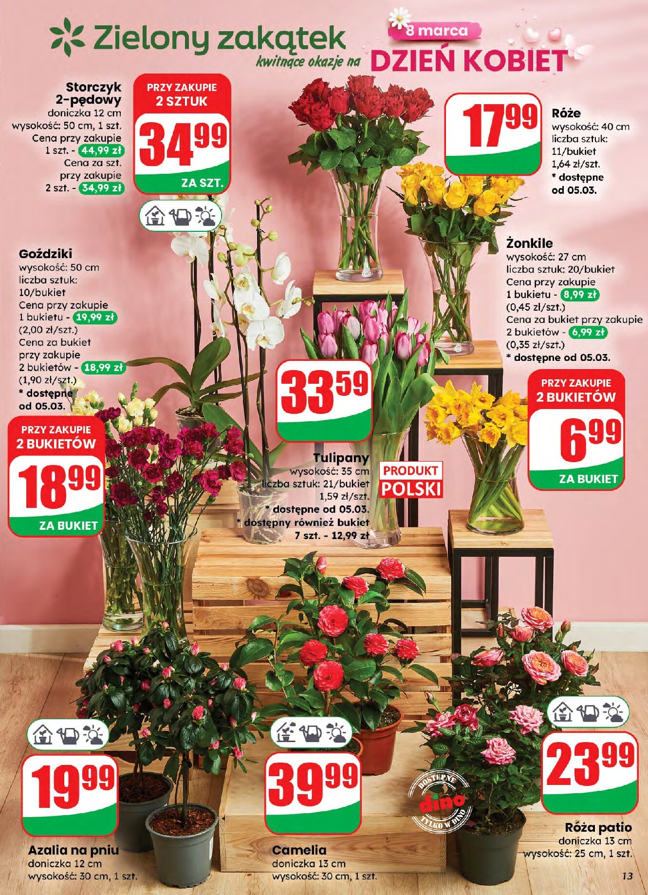 dino - Gazetka Dino - ważna od 04.03.2026 do 10.03.2026 - page: 13