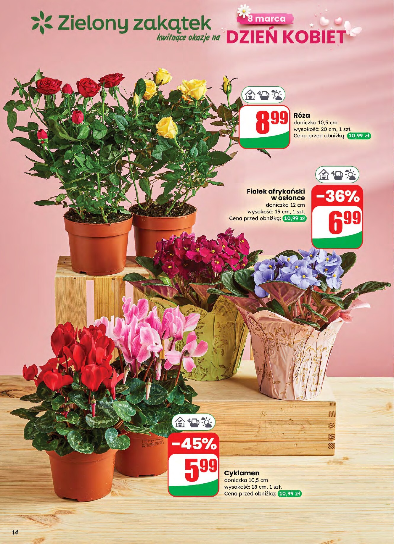 dino - Gazetka Dino - ważna od 04.03.2026 do 10.03.2026 - page: 14