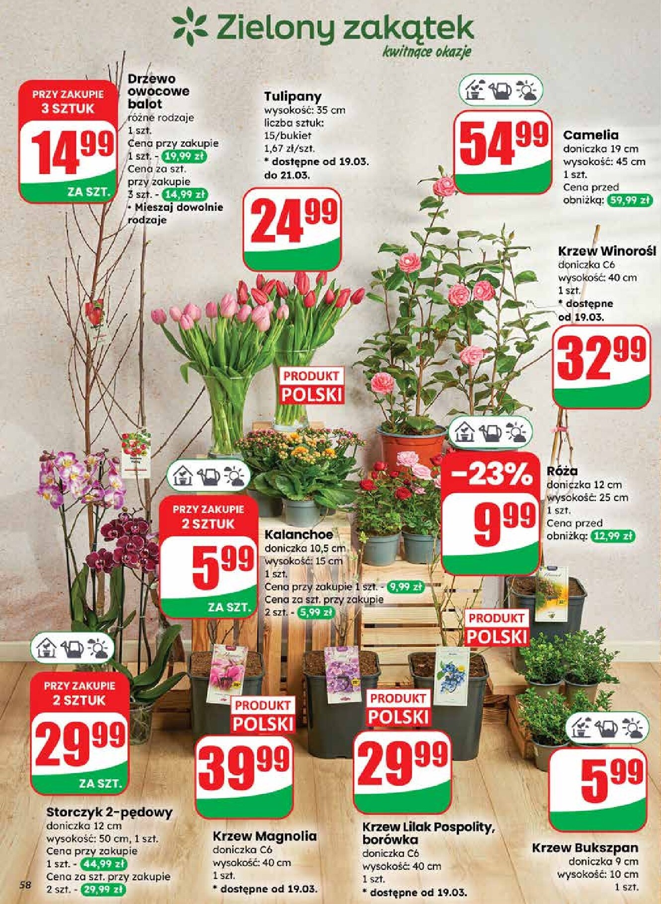 dino - Gazetka Dino - ważna od 18.03.2026 do 24.03.2026 - page: 58