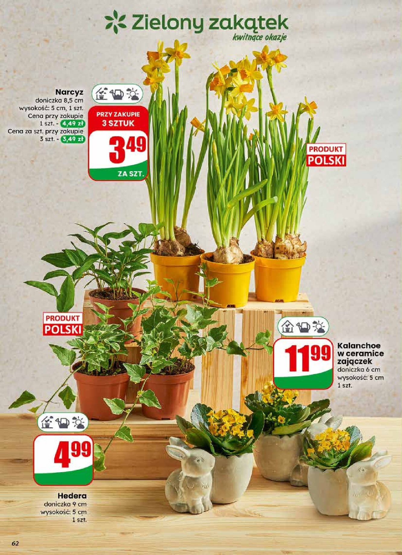 dino - Gazetka Dino - ważna od 01.04.2026 do 07.04.2026 - page: 62