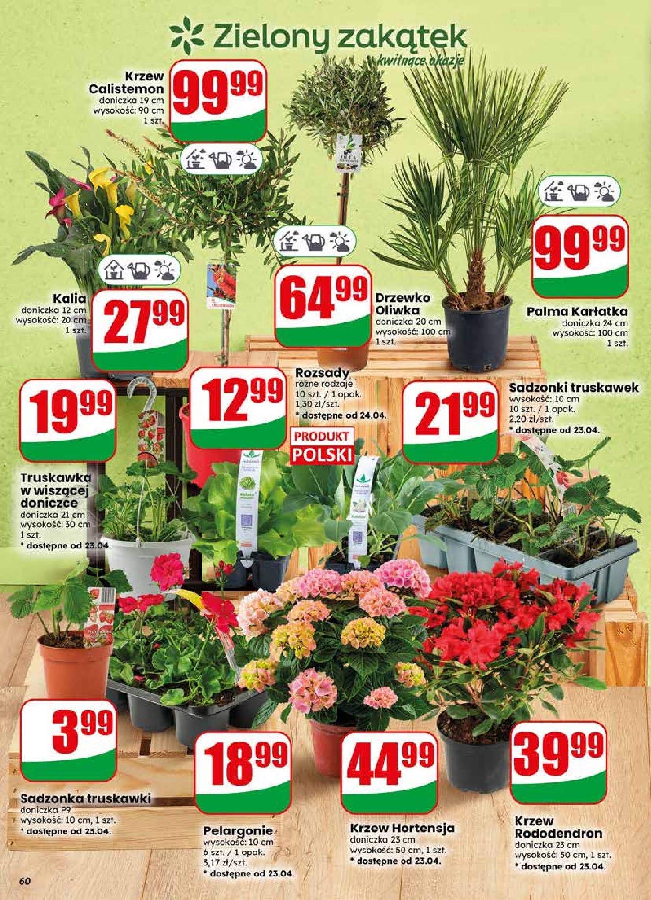 dino - Nowa gazetka Dino ważna od 22.04.2026 do 28.04.2026 - page: 60